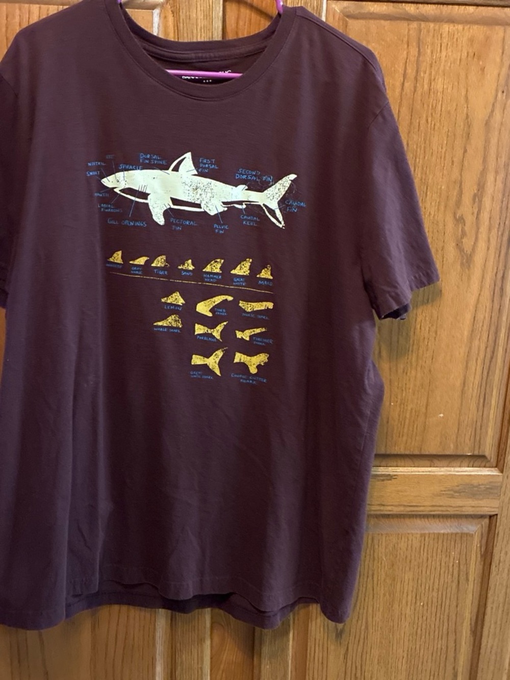 Mens Banana Republic Maroon/brown Short-Sleeve Shark Diagram Tee size XXL